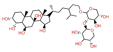 Acodontasteroside D